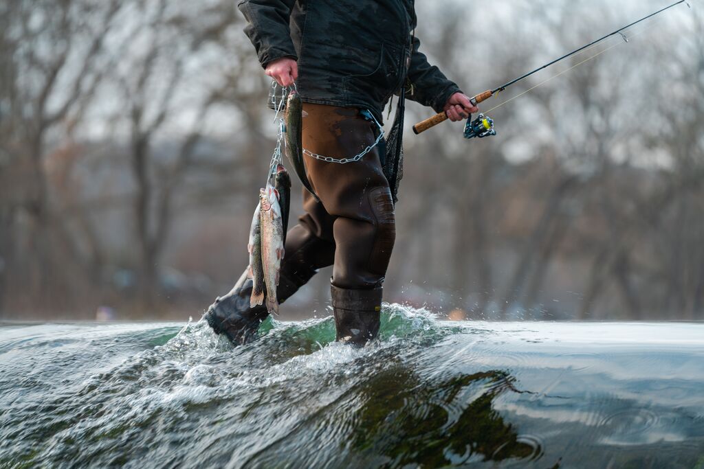 Person walks across dam at Bennett Spring State Park with a stringer of trout.