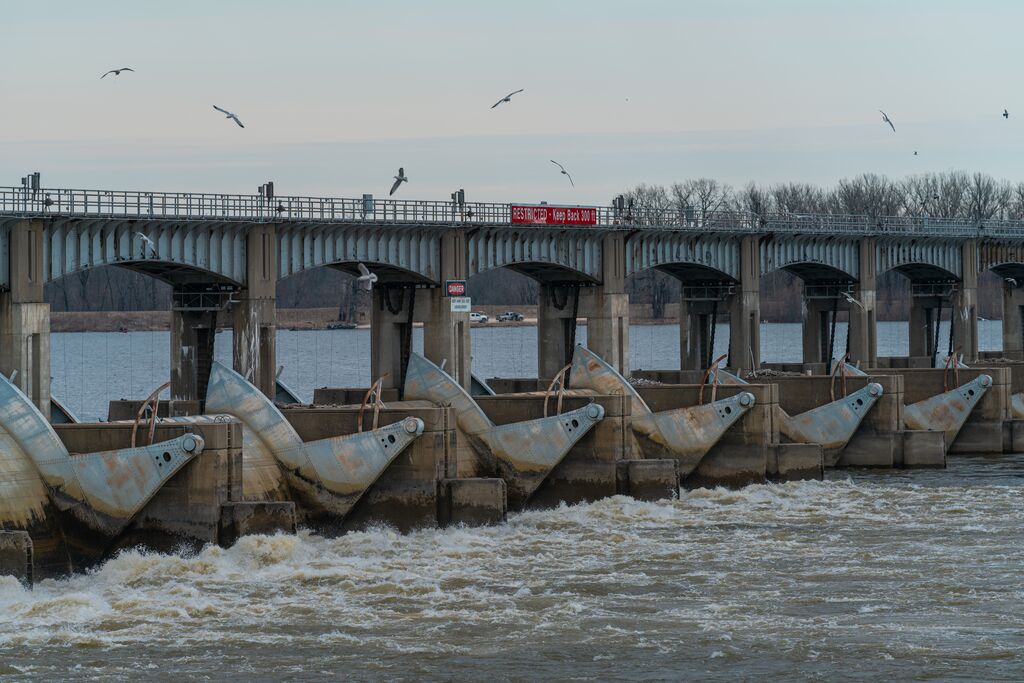 Fish jump at a dam while birds circle above.