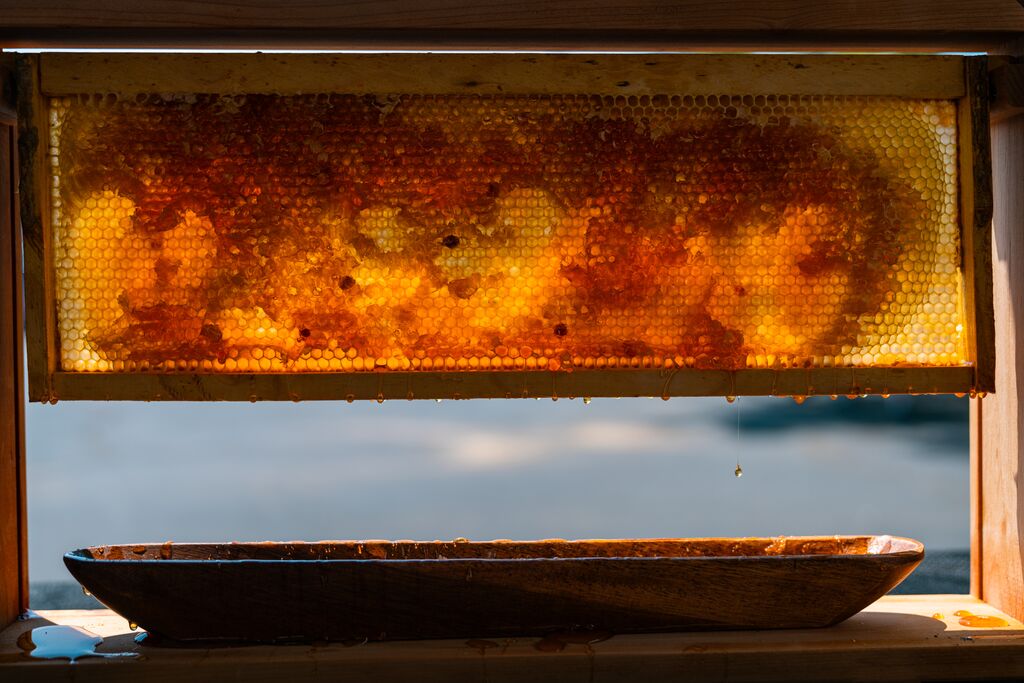 Golden honey drips from a wooden honey comb into a wooden bowl with the sun shining through the comb.
