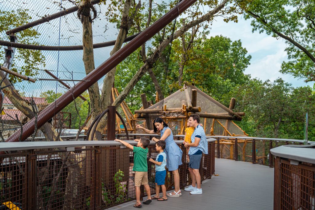 Family stops and looks at animals at zoo.