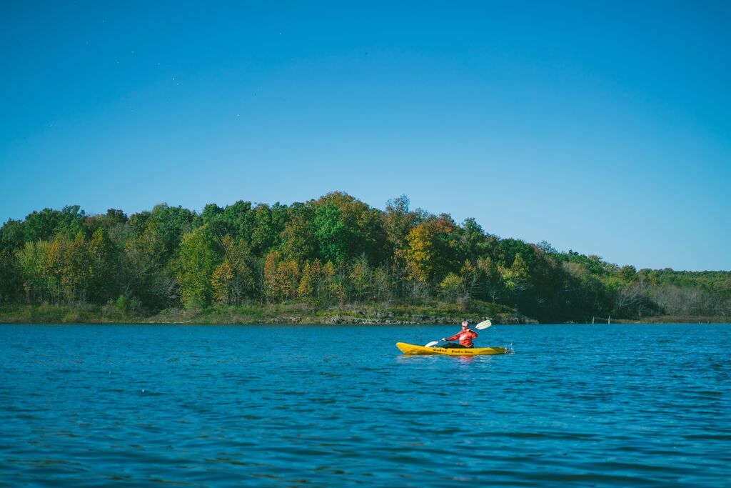 A person in a yellow kayak makes their way across the blue, rippled water. Green, lush trees line the bank and there is a clear, blue skyline.