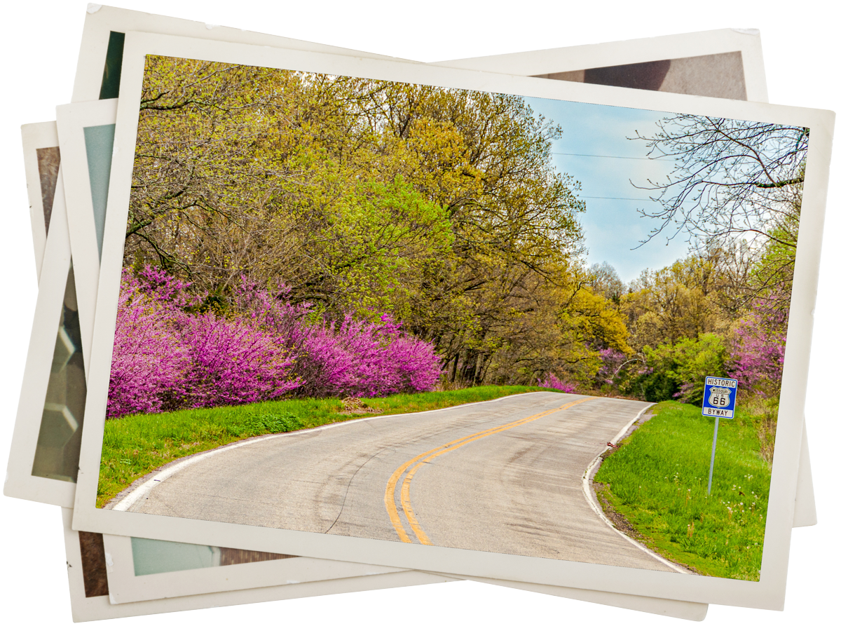 a photos of route 66 in early spring with trees and flowers in bloom